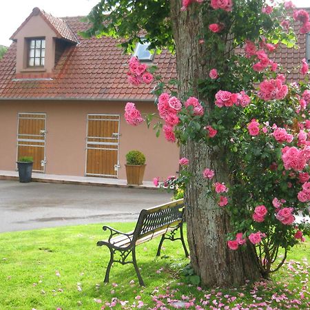 Hotel Du Moulin Aux Draps Desvres Exterior foto